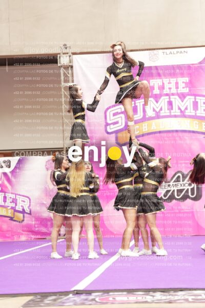Joy12 Joy07655