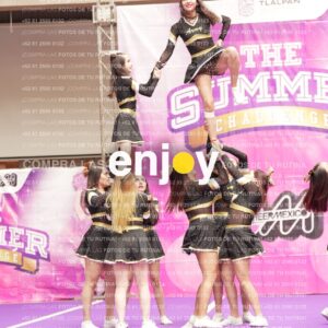 Joy12 Joy07655