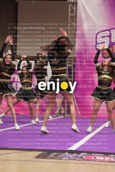 Joy12 Joy07706