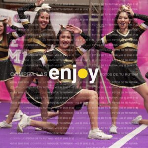 Joy12 Joy07710