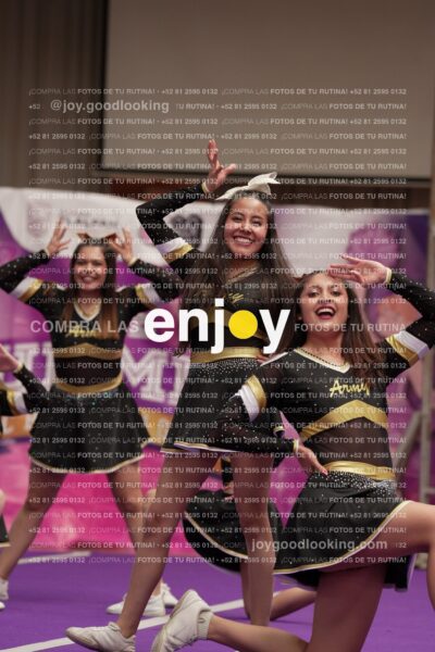 Joy12 Joy07712