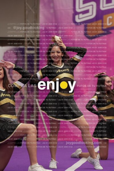 Joy12 Joy07714