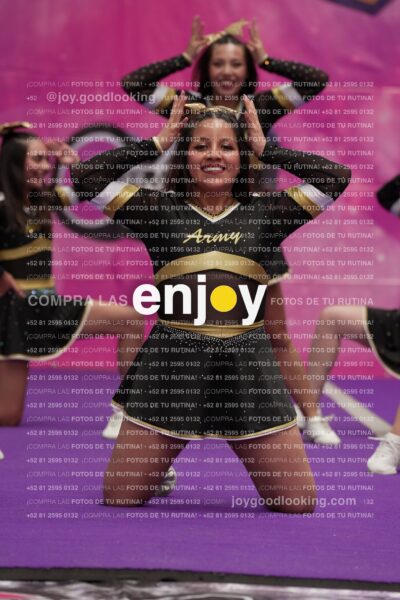 Joy12 Joy07718