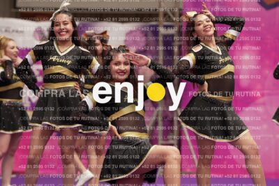 Joy12 Joy07725