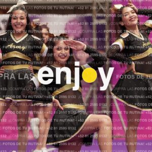 Joy12 Joy07728