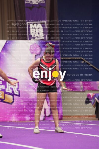 Joy13 Joy07729
