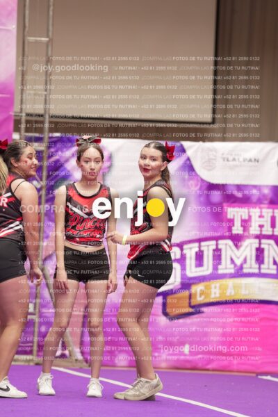 Joy13 Joy07949