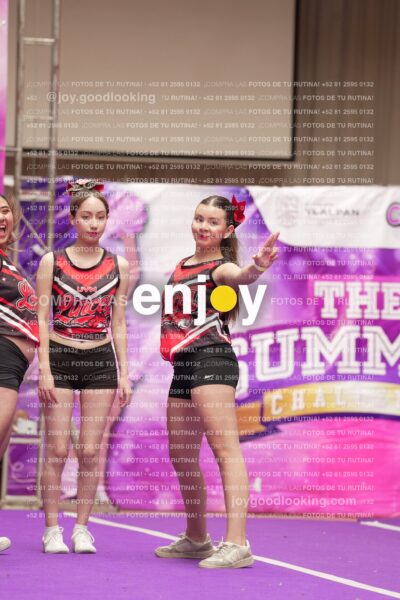 Joy13 Joy07951