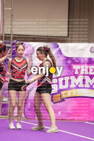 Joy13 Joy07954