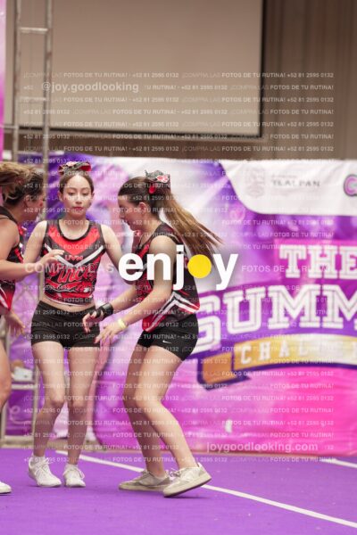 Joy13 Joy07955