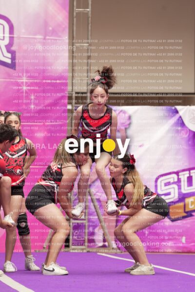 Joy13 Joy07958