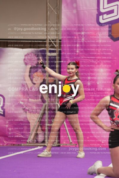 Joy13 Joy08020