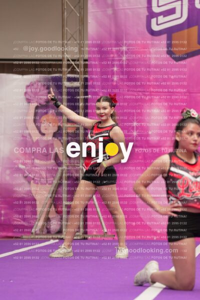 Joy13 Joy08022