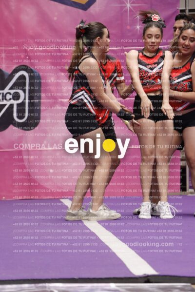 Joy13  Mg 9344