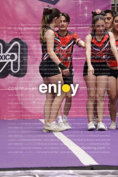 Joy13  Mg 9345