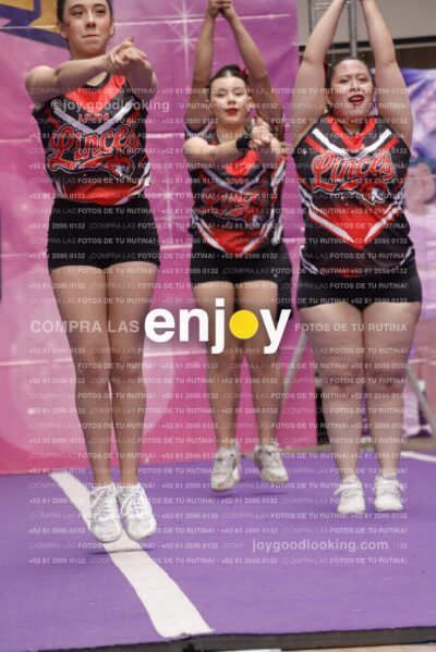 Joy13  Mg 9347