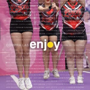 Joy13  Mg 9347