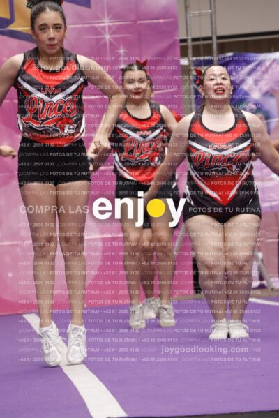 Joy13  Mg 9348