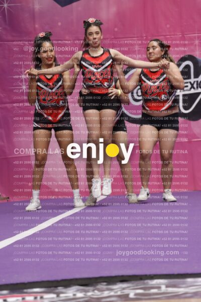 Joy13  Mg 9354