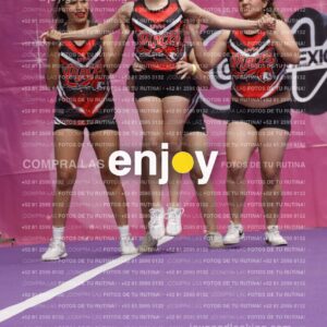 Joy13  Mg 9354