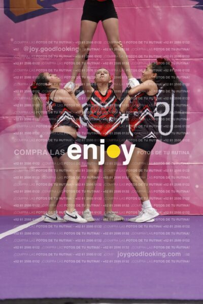 Joy13  Mg 9367