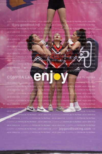 Joy13  Mg 9368
