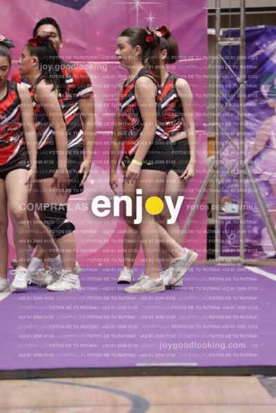 Joy13  Mg 9405