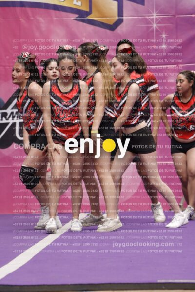 Joy13  Mg 9407