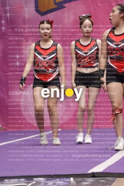 Joy13  Mg 9408