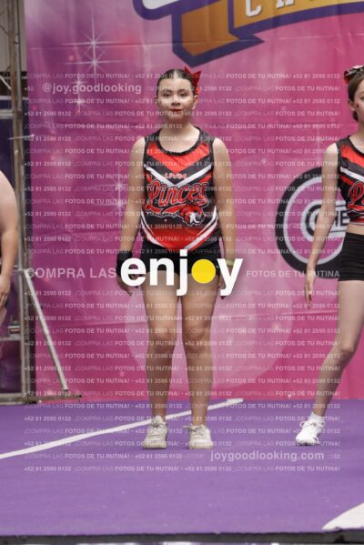 Joy13  Mg 9410