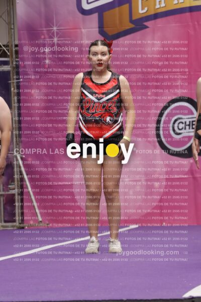 Joy13  Mg 9411
