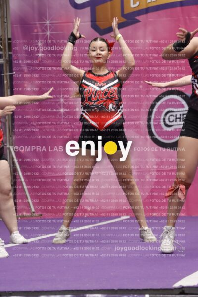 Joy13  Mg 9413