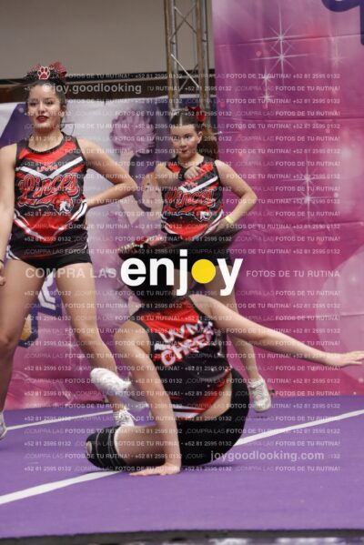 Joy13  Mg 9423