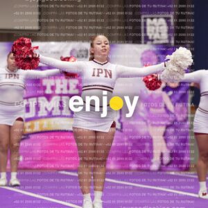 Joy15 Joy08314
