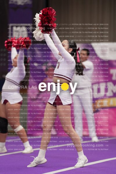 Joy15 Joy08337