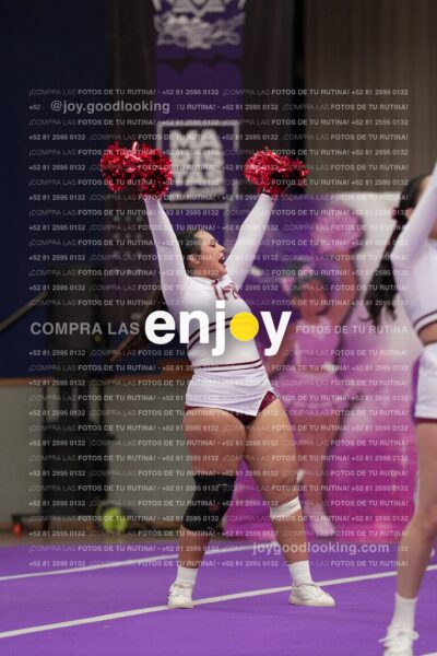 Joy15 Joy08338
