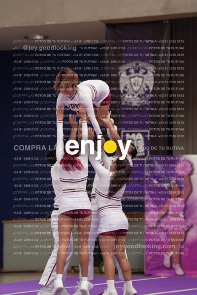 Joy15 Joy08424