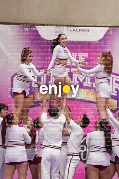 Joy15 Joy08483