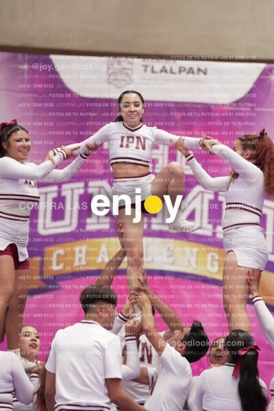 Joy15 Joy08497