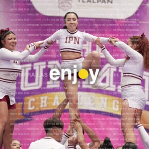 Joy15 Joy08497