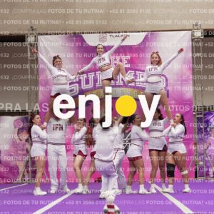 Joy15 Joy08501