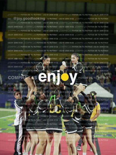 Lfd0323