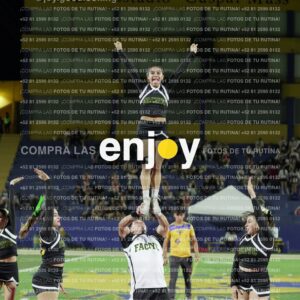 Lfd0369
