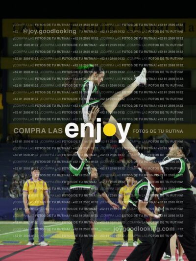 Ofm0260