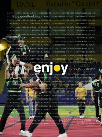 Ofm0262