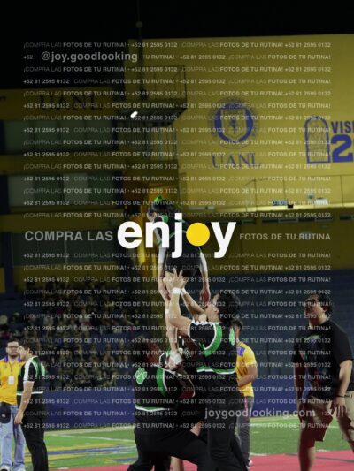 Ofm0291