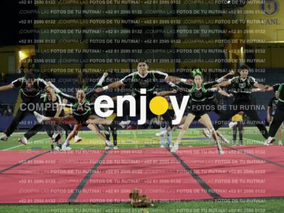 Ofm0338