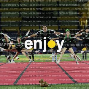 Ofm0338