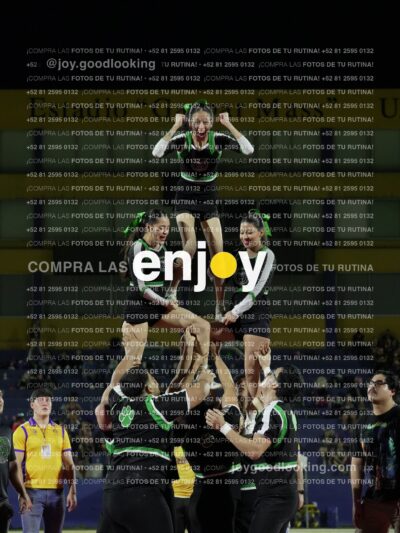 Ofm0391