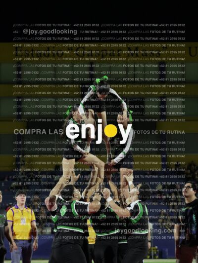 Ofm0392